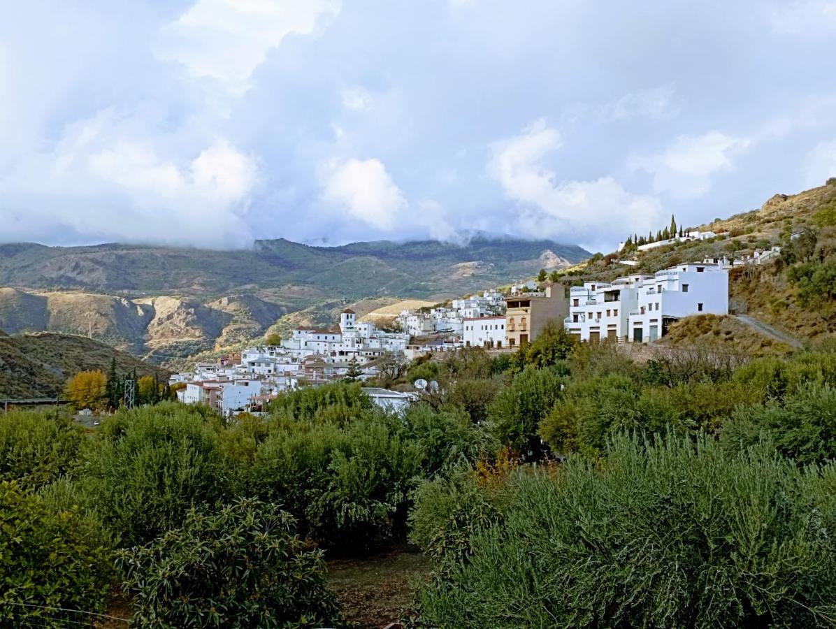 Апартаменты El Almendro De Maruja Торвискон Экстерьер фото